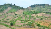 Menurut warga, kawasan yang dahulu hutan subur dan banyak pohon tersebut saat ini kondisinya gersang dan gundul hingga 80 persen akibat maraknya pembalakan liar.