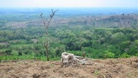 Hal itu tentu saja berpotensi mengakibatkan bencana alam erosi, banjir hingga longsor serta mengancam keberadaan satwa liar di tempat itu.