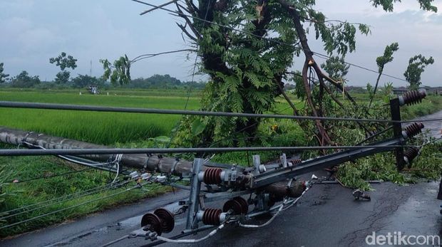 Penampakan tiang listrik dan pohon tumbang di Jalan Tegalgondo-Janti, Desa Sidowayah, Kecamatan Polanharjo, Klaten, Jumat (29/10/2021).
