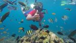 Pulau Pahawang, Surga Bawah Laut Andalan Provinsi Lampung