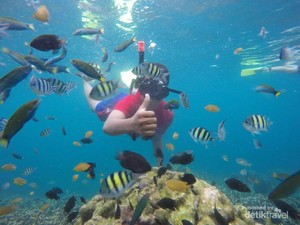 Raksasa di Bidang Maritim, Ini Harta Karun di Laut Indonesia