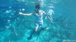 Secuil Surga Bawah Laut Desa Wisata Arborek Raja Ampat