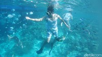Pulau ini punya dermaga yang di bawahnya terdapat kerajaan bawah air. 