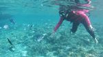 Secuil Surga Bawah Laut Desa Wisata Arborek Raja Ampat