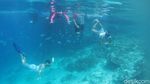 Secuil Surga Bawah Laut Desa Wisata Arborek Raja Ampat
