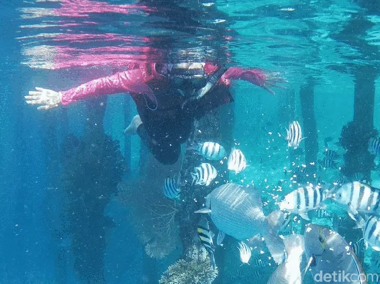 Secuil Surga Bawah Laut Desa Wisata Arborek Raja Ampat