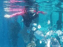 KKP: Tambang Nikel di Raja Ampat Bisa Bikin Perairan Alami Sedimentasi