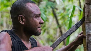 Kerja Keras Dibalik Suvenir Lukisan Kulit Kayu Khas Papua