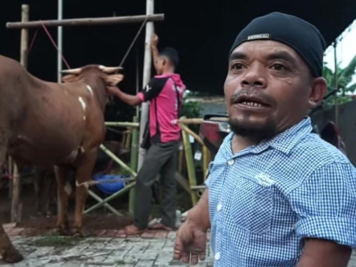 Jarang Tampil di TV, Ucok Baba Kini Sibuk Jadi Juragan Sapi