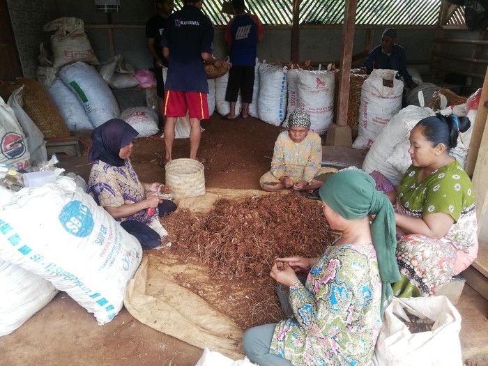 Desa penghasil rempah di Sumedang