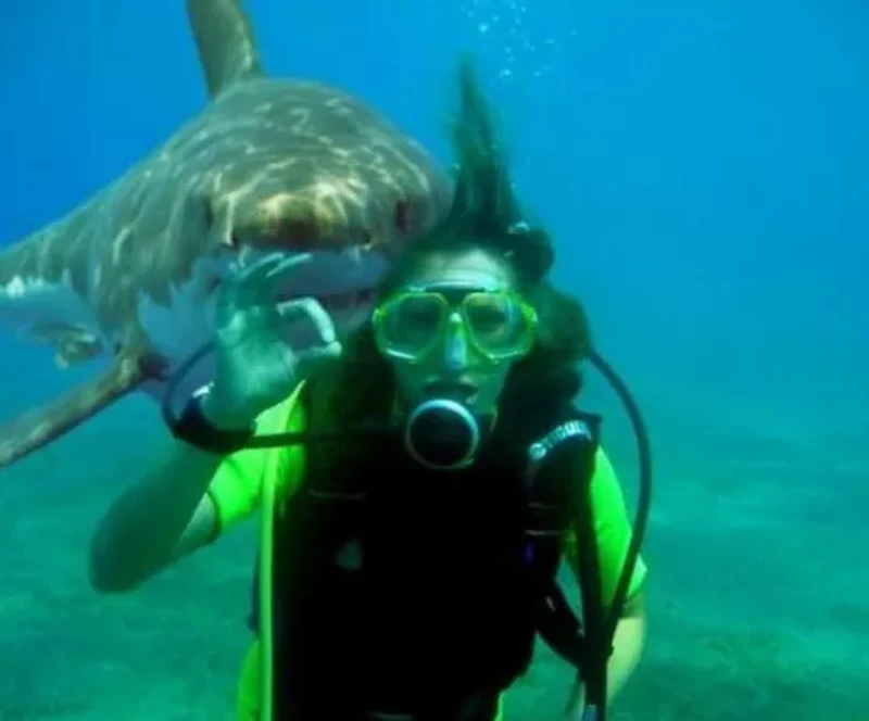 Lucunya Ekspresi Hewan-Hewan Ini Saat Tertangkap Kamera