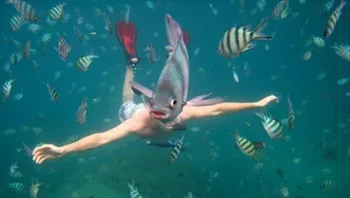 Aku manusia ikan. Foto: (dok Live About).