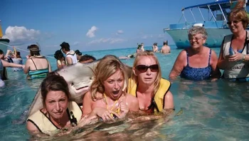 Duh rame nih, ikutan foto ah kata si ikan pari. Foto: (dok Live About).