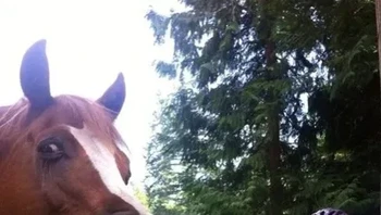 Sepertinya yang pegang kamera kudanya deh. Foto: (dok Live About).