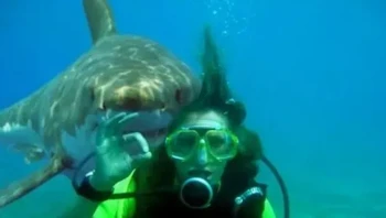 Hiiii.... gimana nasib si penyelam ya. Foto: (dok Live About).