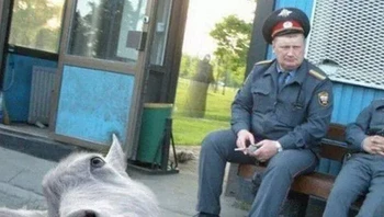 Pose gini udah oke belum? Foto: (dok Live About).