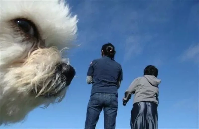 Lucunya Ekspresi Hewan-Hewan Ini Saat Tertangkap Kamera