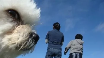 Mereka nggak tau gua gangguin, suara dalam hati si anjing. Foto: (dok Live About).