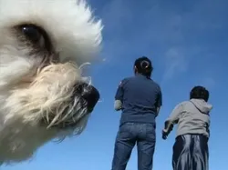 Foto Lucu Ekspresi Hewan Saat Tertangkap Kamera