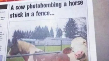 Mau dong ikutan foto. Foto: (dok Live About).