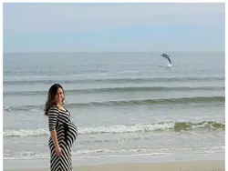 Foto Lucu Ekspresi Hewan Saat Tertangkap Kamera