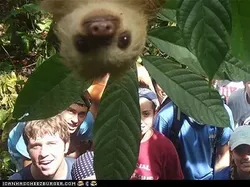 Foto Lucu Ekspresi Hewan Saat Tertangkap Kamera