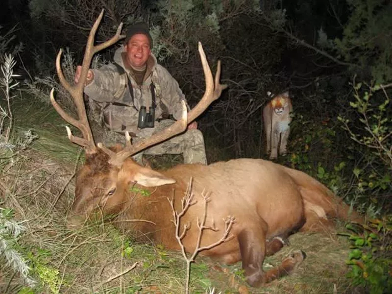 Lucunya Ekspresi Hewan-Hewan Ini Saat Tertangkap Kamera