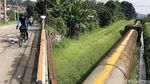 Mencoba Jalur Syahdu Kebun Teh Cianten Bogor