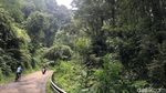 Mencoba Jalur Syahdu Kebun Teh Cianten Bogor