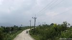 Mencoba Jalur Syahdu Kebun Teh Cianten Bogor
