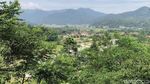 Mencoba Jalur Syahdu Kebun Teh Cianten Bogor