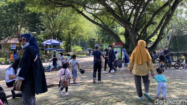 Pihak Taman Margasatwa Ragunan menuturkan kunjungan warga relatif lebih sedikit terkait aturan ganjil-genap yang diberlakukan di ruas jalan pintu masuk Ragunan. (Annisa RF/detikcom)