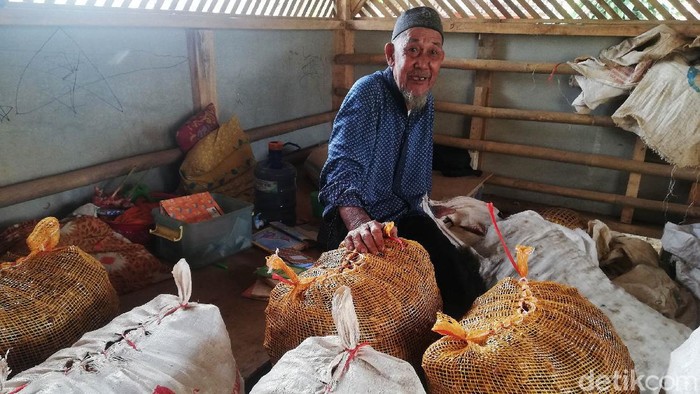 Rempah dan Empon-empon, Ladang Uang di Desa Jingkang Sumedang Para petani mengolah bumbu dapur, rempah-rempah maupun empon-empon di Jingkang Sumedang. Kawasan tersebut dikenal sebagai penghasil uang dari rempah-rempah.