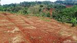 Menilik Rempah-rempah yang Jadi Ladang Uang di Desa Jingkang Sumedang