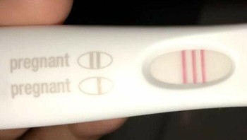 Saat alat tes kehamilan bingung sama hasilnya sendiri. Foto: Reddit via Bored Panda