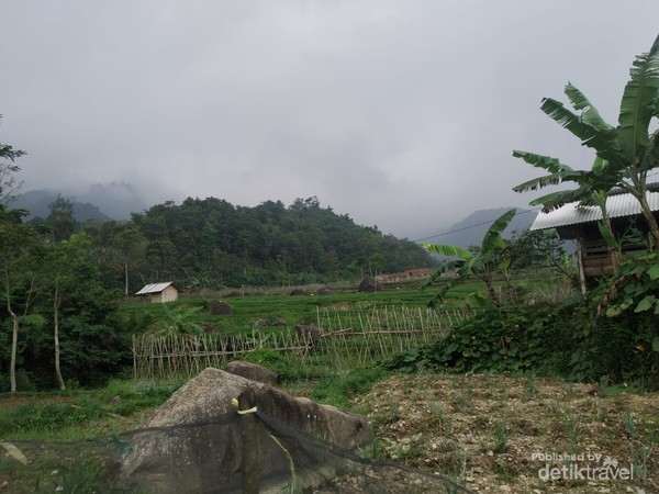 Keindahan Alam di Kampung Tajur