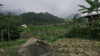 Keindahan Alam di Kampung Tajur
