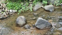Sungai yang jernih di Kampung Tajur