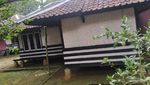 Cerita Hangat dari Traveler Autis, ke Kampung Tajur untuk Healing