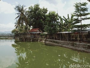 Ada Kompleks Makam di Tengah Rawa Jombor Klaten, Begini Kisahnya