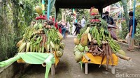 Arak-arakan hasil bumi menjadi ritual puncak yang ditunggu-tunggu warga. Setelah ditutup dengan doa bersama dan potong tumpeng, gunungan hasil bumi yang sebelumnya diarak diperebutkan oleh warga.