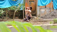 Sebelumnya, pada Minggu (24/10) lalu juga telah dihelat kegiatan budaya berupa pagelaran wayang kulit dengan Lakon Banyu Suci Perwitasari yang dimainkan oleh dalang asli Desa Purbowono Ki Danang Nugroho.