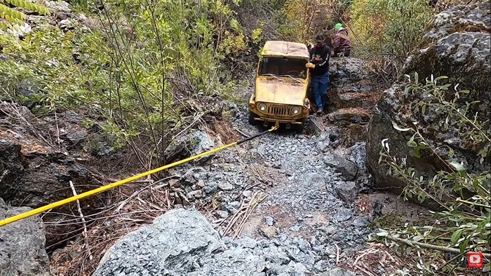 Suzuki Jimny Terjebak di hutan
