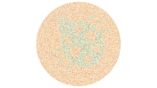 tes buta warna tes buta warna