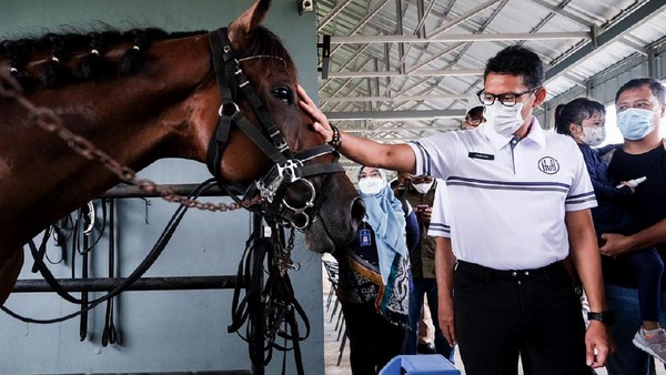 Sandiaga menjelaskan eresmian ini tentunya menjadi salah satu ikhtiar yang diharapkan agar mampu membuka lapangan kerja seluas-luasnya di masa pandemi COVID-19. Sandiaga menjelaskan eresmian ini tentunya menjadi salah satu ikhtiar yang diharapkan agar mampu membuka lapangan kerja seluas-luasnya di masa pandemi COVID-19.