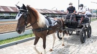 Saat berkunjung ke The Hub, Menparekraf didampingi Ketua Umum Masyarakat Ekonomi Syariah (MES) DKI Jakarta & Ketua Komite Pariwisata dan Ekonomi Kreatif MES Indonesia, Rezza Arief Budy Artha, Perwakilan The Hub Donni Agoesfiansyah, Sekretaris Jendral Pengurus Pusat MES Indonesia, Iggi Haruman, Perkumpulan Pariwisata Halal Indonesia Tito Maulana, Deputi Bidang Pengembangan Destinasi dan Infrastruktur Kemenparekraf/Baparekraf Vinsensius Jemadu.