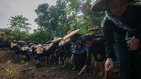 Warga Suku Baduy Luar menabur benih di lahan garapan.