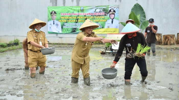 Bupati Kebumen Sulap Lahan Kosong Jadi Agri Smart