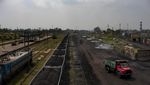 Potret Buruh Angkut Batu Bara di India, Penghasilan Rp 42.000/hari
