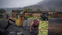 Naresh Chauchan (50) dan istrinya, Rina Devi (45) mengumpulkan batu bara ke dalam karung di pertambangan Dhanbad, negara bagian Jharkand, India, (24/9). Keduanya memperoleh penghasilan US$3 atau sekitar Rp 42.000 perhari untuk 4 karung batu bara.